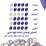 Nanjun arabic coffee powder 300 gram